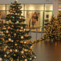 mainkaufzentrum_image_weihnachten